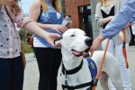 Puppy Love: Health Services welcomes new therapy dog
