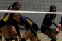 Lady Panthers lose close game to Houston